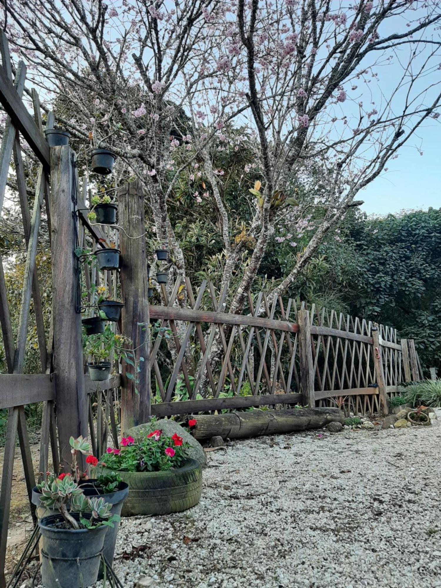 Casa Kiiro, Um Ambiente Tranquilo E De Sossego. Villa Santo Antônio do Pinhal Екстериор снимка