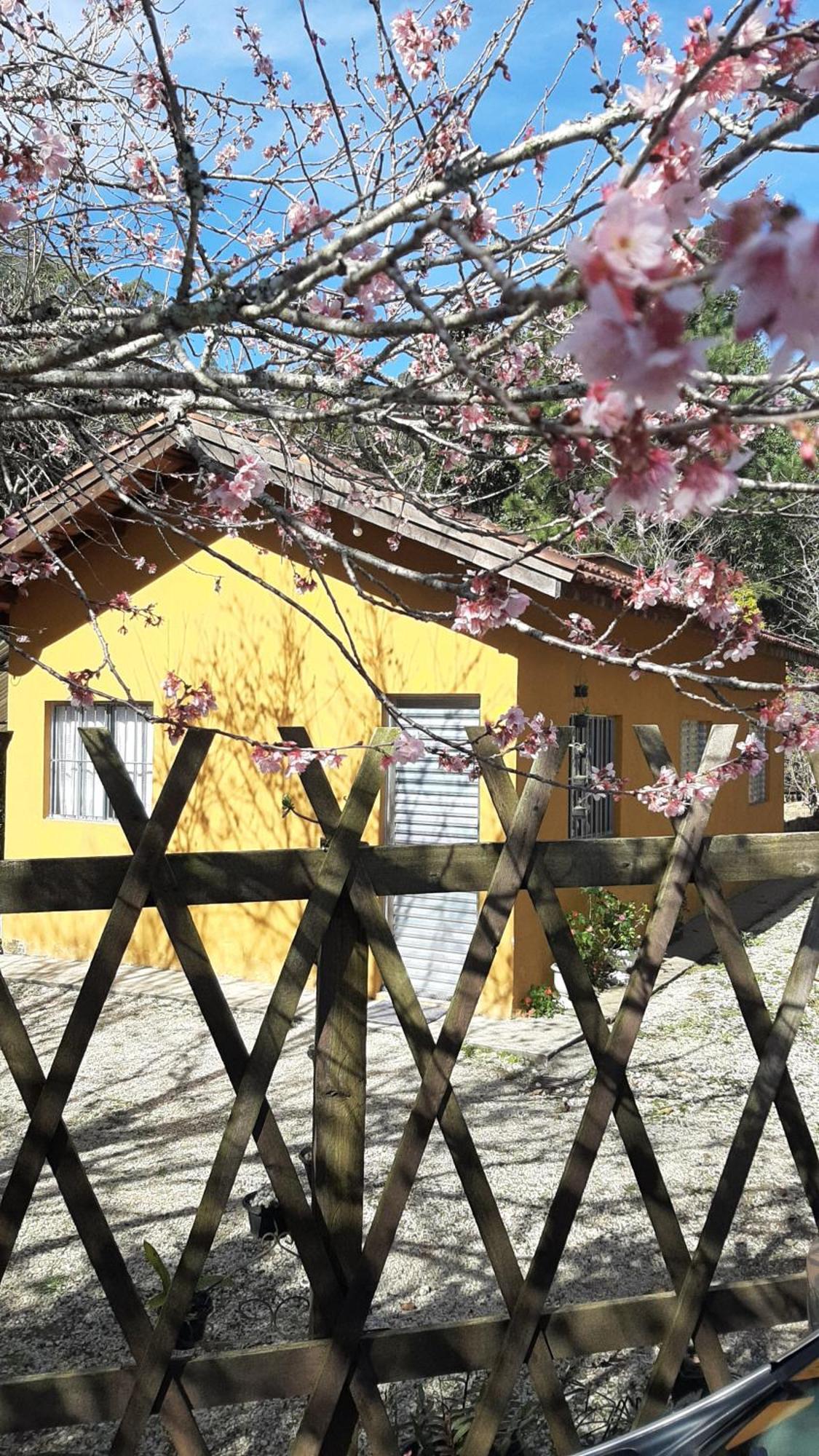 Casa Kiiro, Um Ambiente Tranquilo E De Sossego. Villa Santo Antônio do Pinhal Екстериор снимка